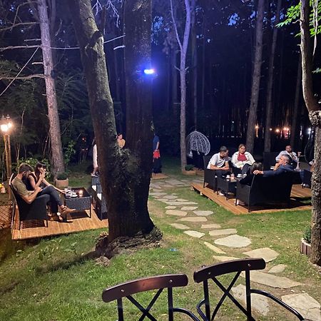 Hotel Gloria Ks Приштина Экстерьер фото